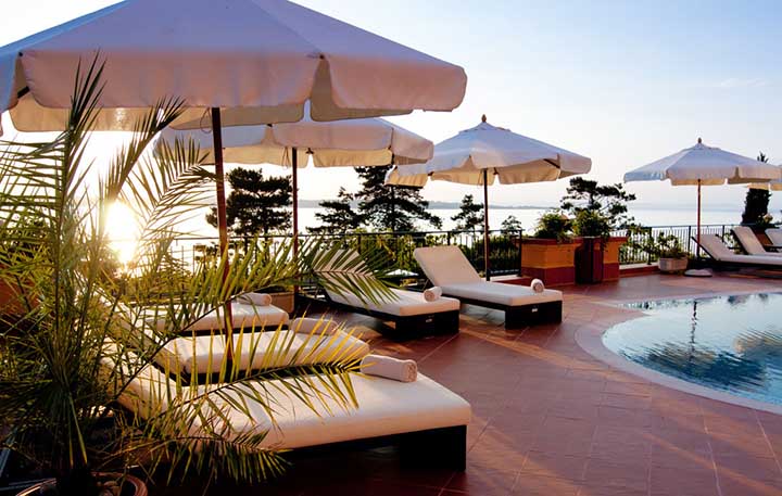 “稀客”紫背椋鸟到访福建