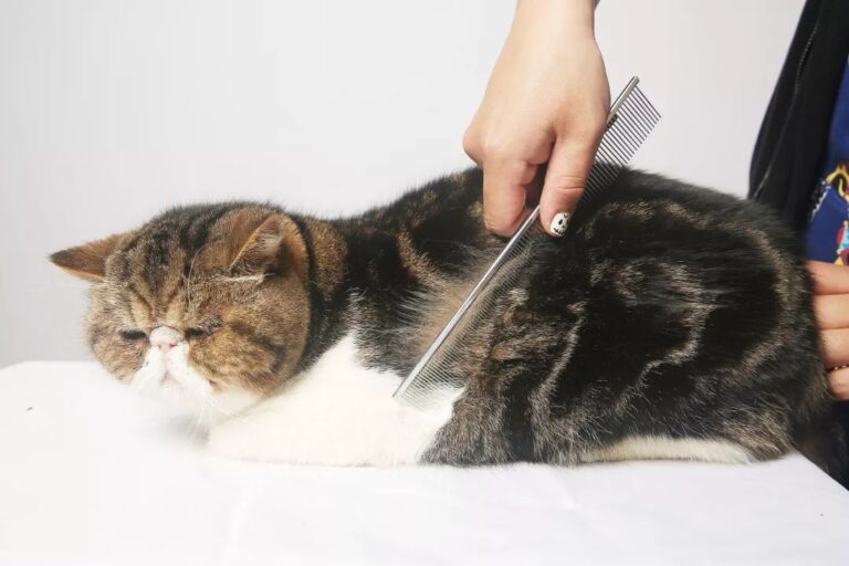 美股前瞻 | 三大股指期货全面上涨，美欧达成15%关税协议，“超级周”来临