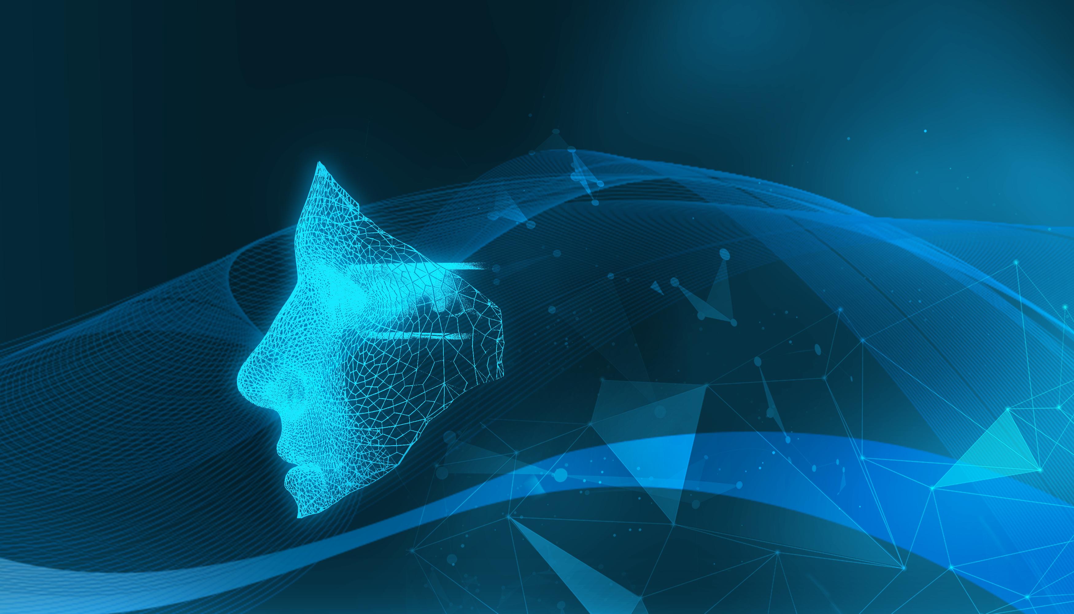 梅州辖区游览船、客渡船一律停止航行作业!这些河流可能出现超警戒洪水...