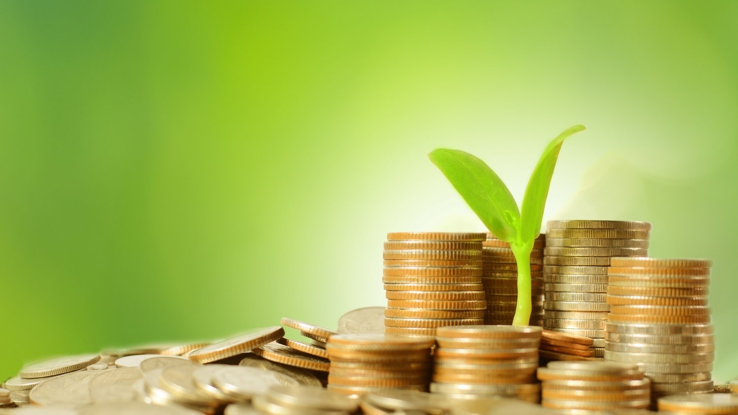 泰康人寿宿州中支“重疾快赔”保险金15万元