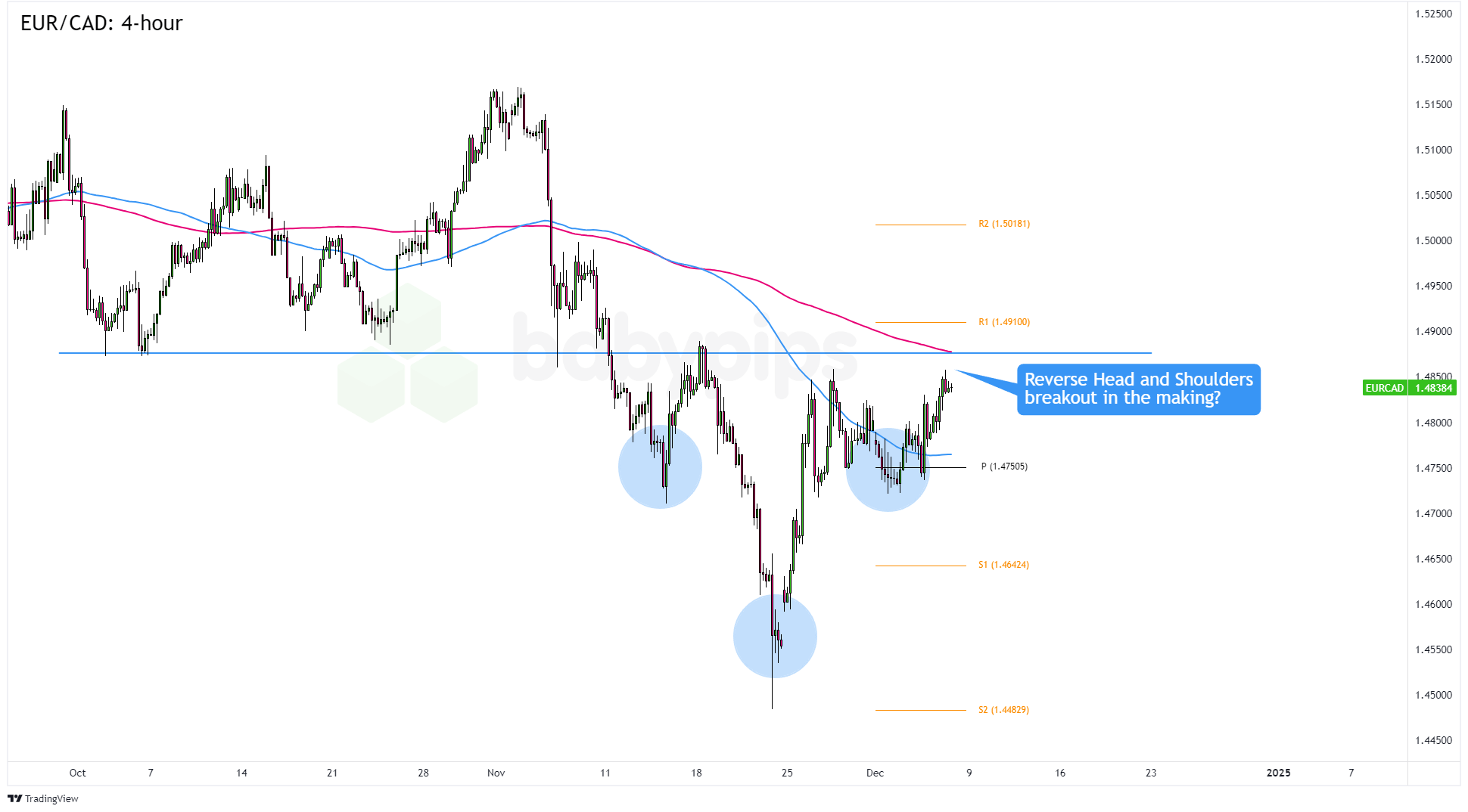 特朗普指责中俄朝密谋对抗美国，中方回应