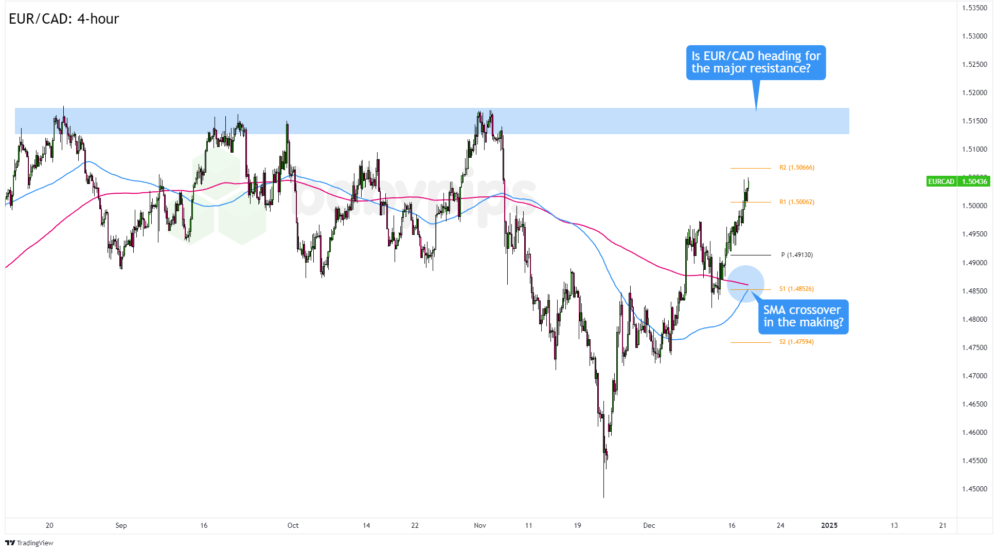 平南县放生23尾国家二级保护动物斑鳠
